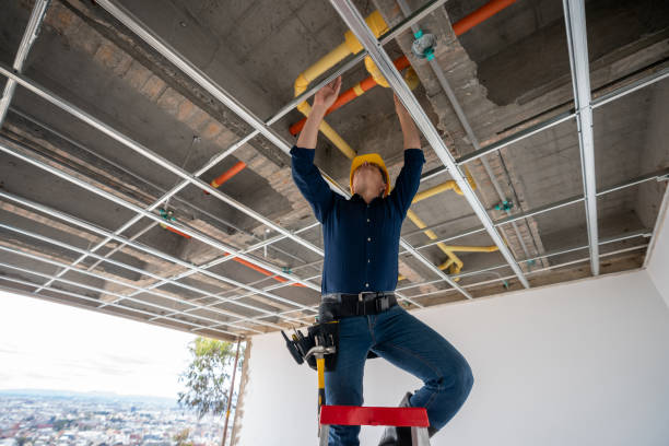 Best Same-Day Plumbing Service  in Greenville, DE